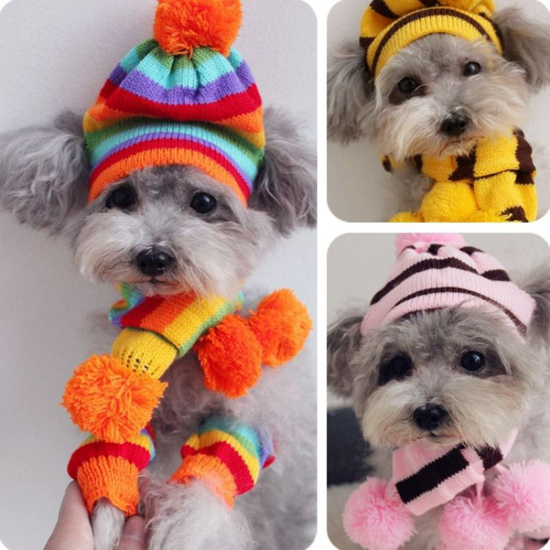 Rainbow Stripe Knitted Dog Win - Winter Clothing Leg Warmers ulasan dan harga