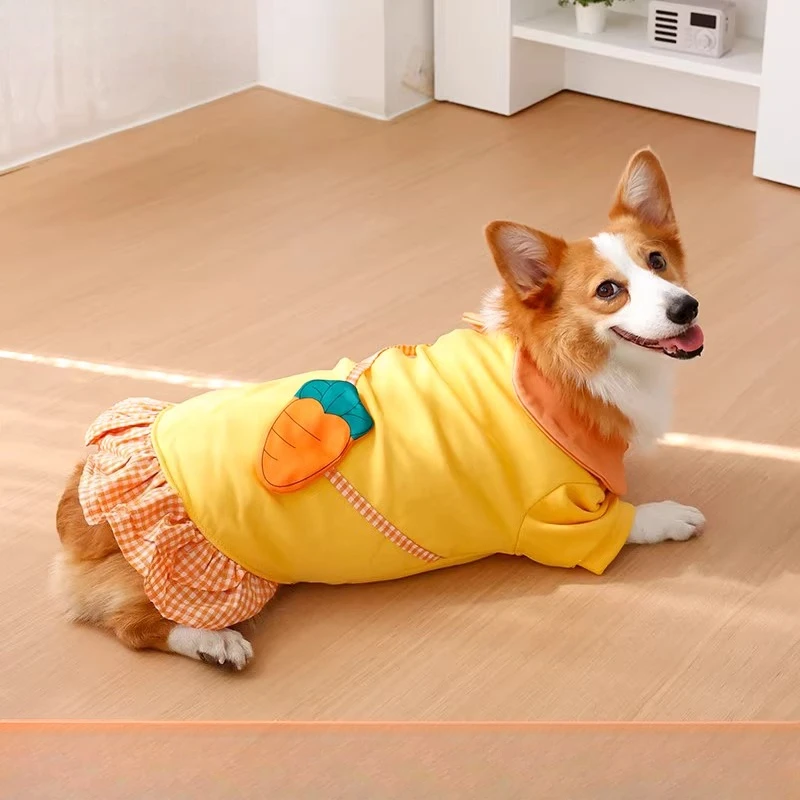 Dog clothing - Winter warmers  - Winter Clothing Leg Warmers ulasan dan harga