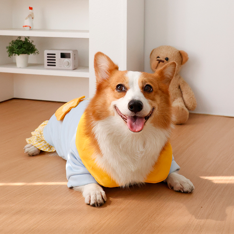 Dog clothing - Winter warmers  - Winter Clothing Leg Warmers ulasan dan harga