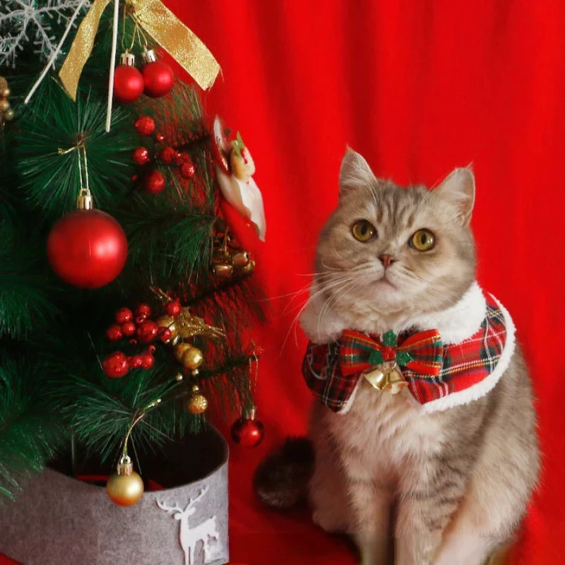 Cat Christmas Cloak Dog New Ye - Winter Clothing English ulasan dan harga